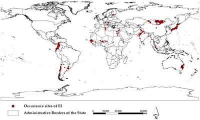 Spatiotemporal pattern and suitable areas analysis of equine influenza in global scale (2005–2022)